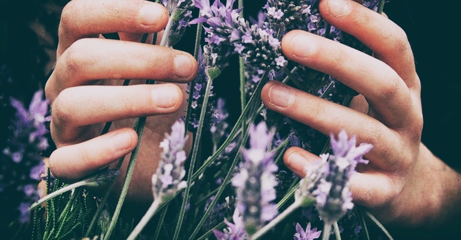 Initial Acupuncture Treatment ***All new clients, and returning clients over 1 year