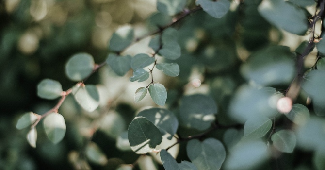 Acupuncture with Modalities and Bodywork